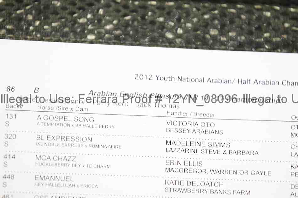 Proof Number 12yn_08096