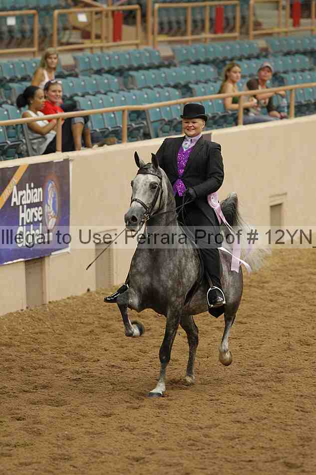 Proof Number 12yn_08097