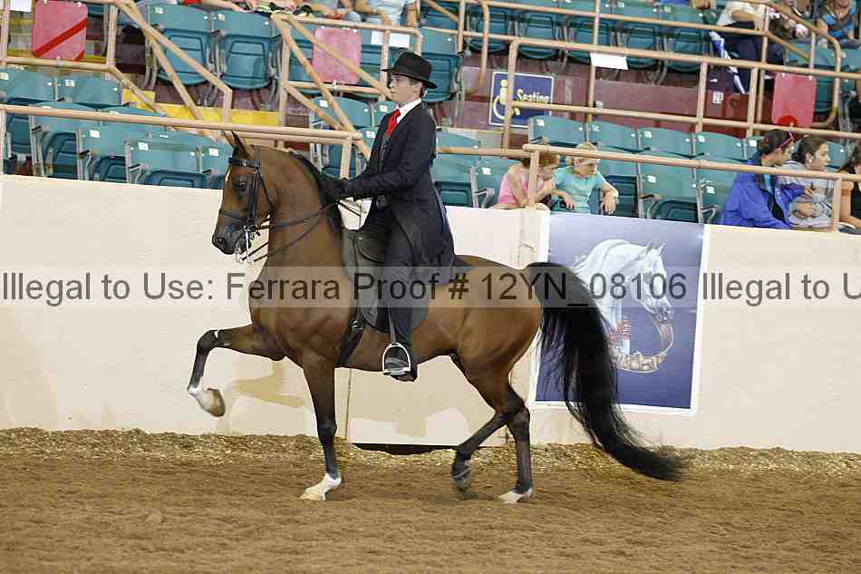 Proof Number 12yn_08106
