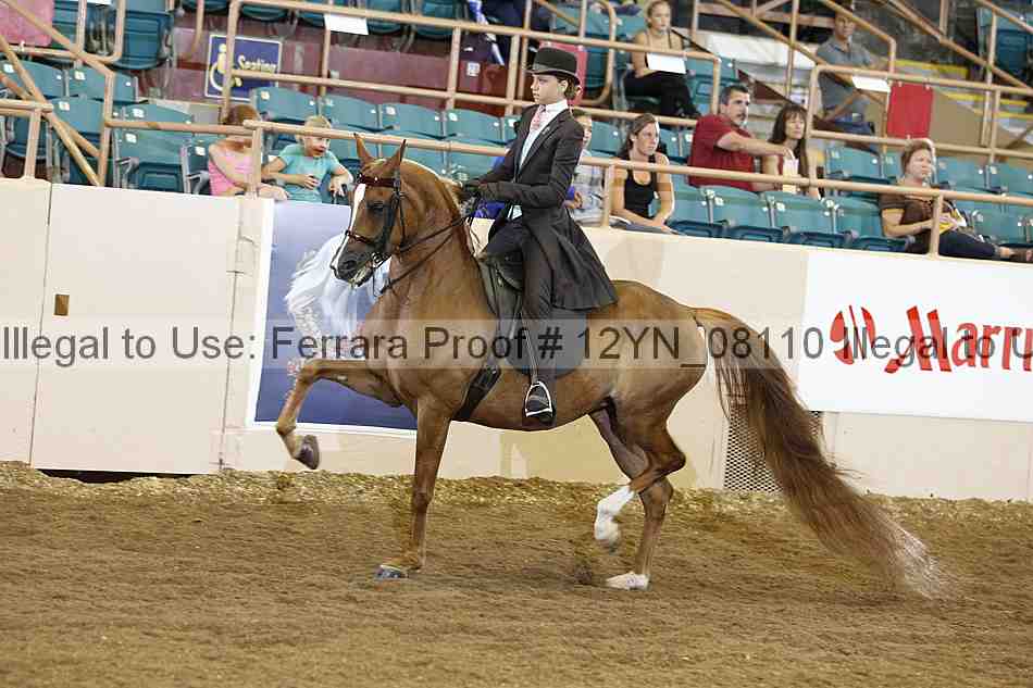 Proof Number 12yn_08110