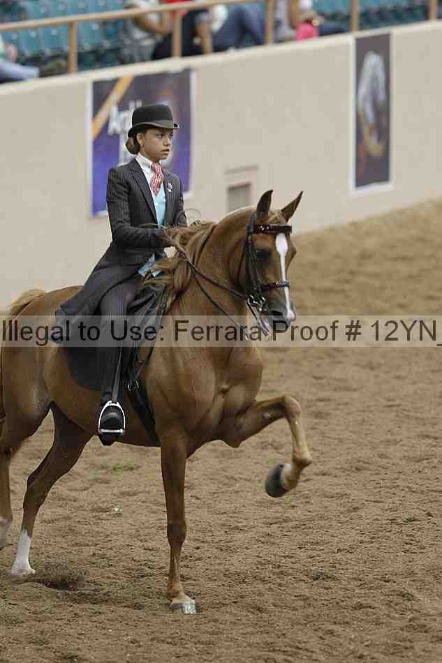 Proof Number 12yn_08118