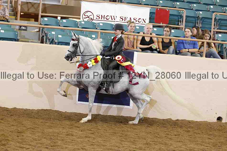 Proof Number 12yn_28060