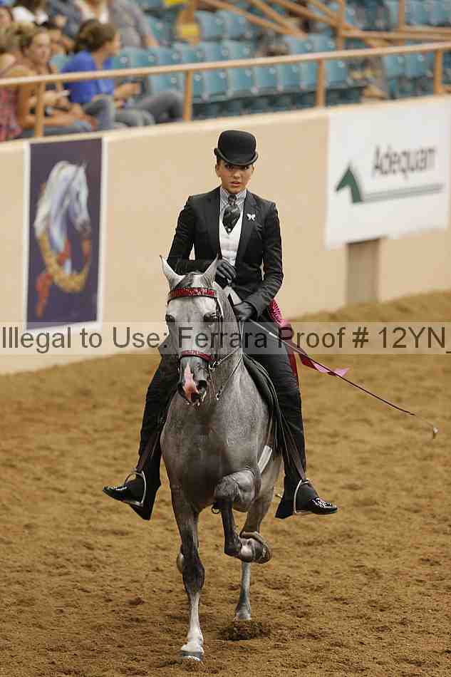 Proof Number 12yn_28065
