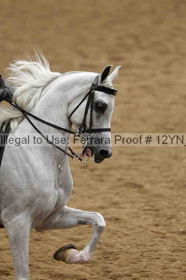 Proof Number 12yn_04434
