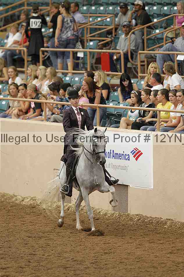 Proof Number 12yn_04463