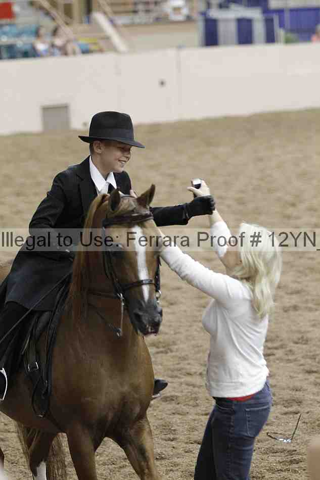 Proof Number 12yn_04495