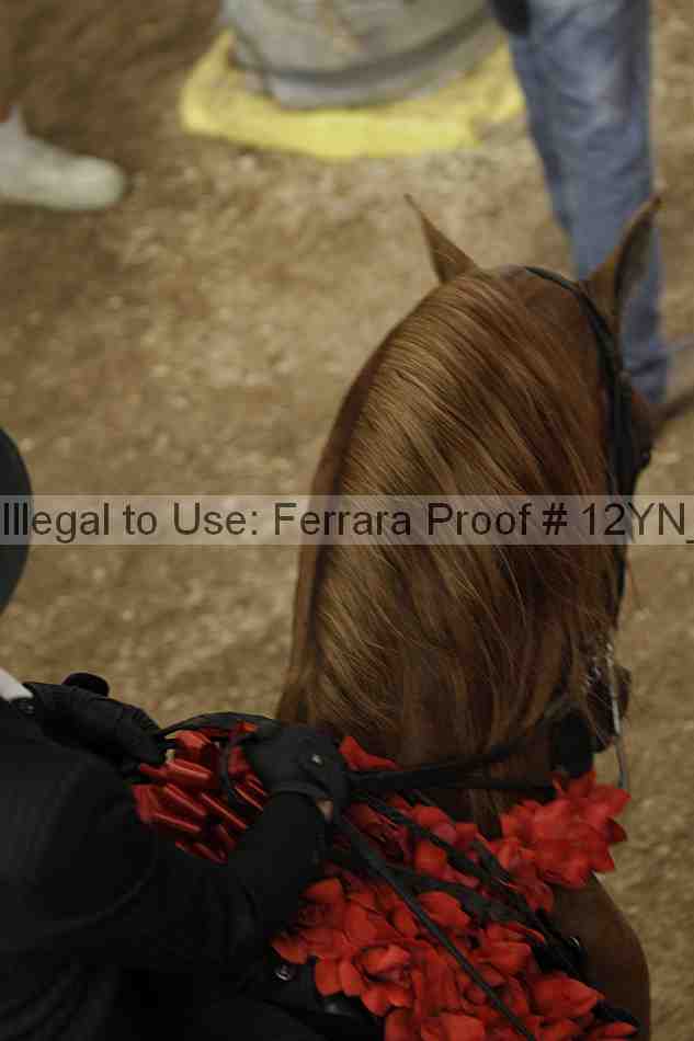 Proof Number 12yn_04541