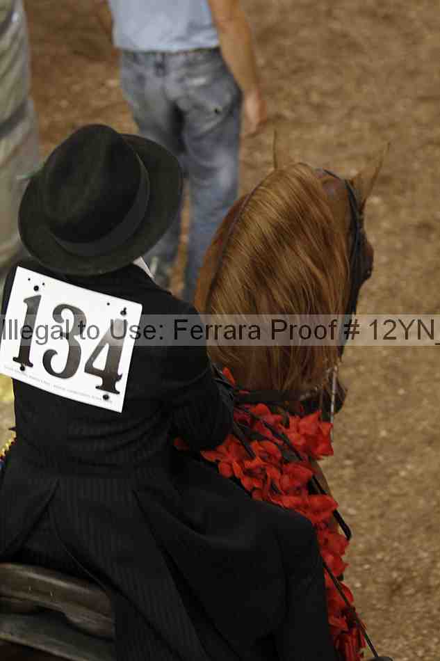 Proof Number 12yn_04542