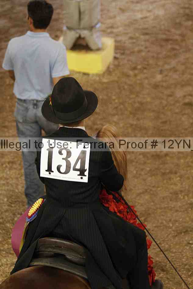 Proof Number 12yn_04543