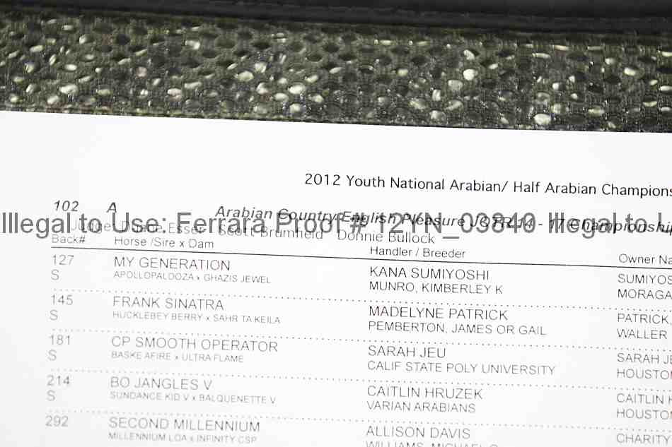 Proof Number 12yn_03840