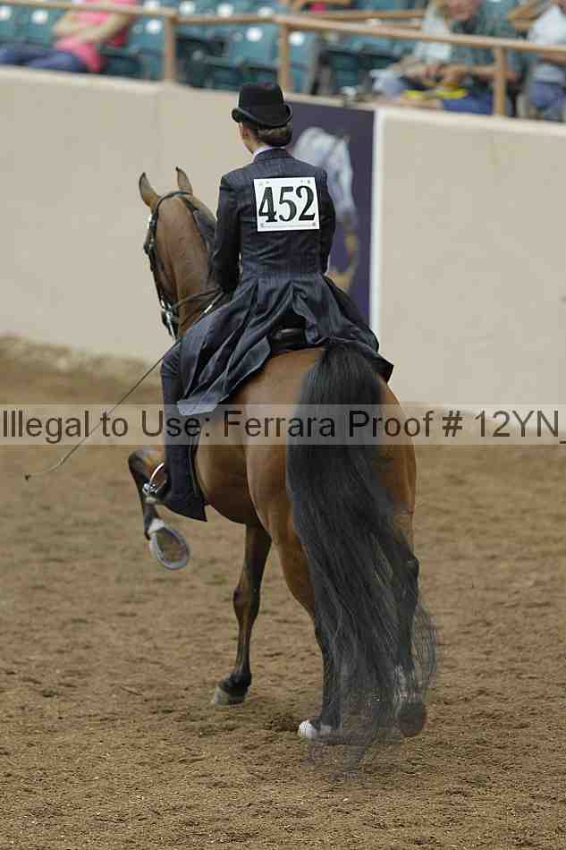 Proof Number 12yn_03850