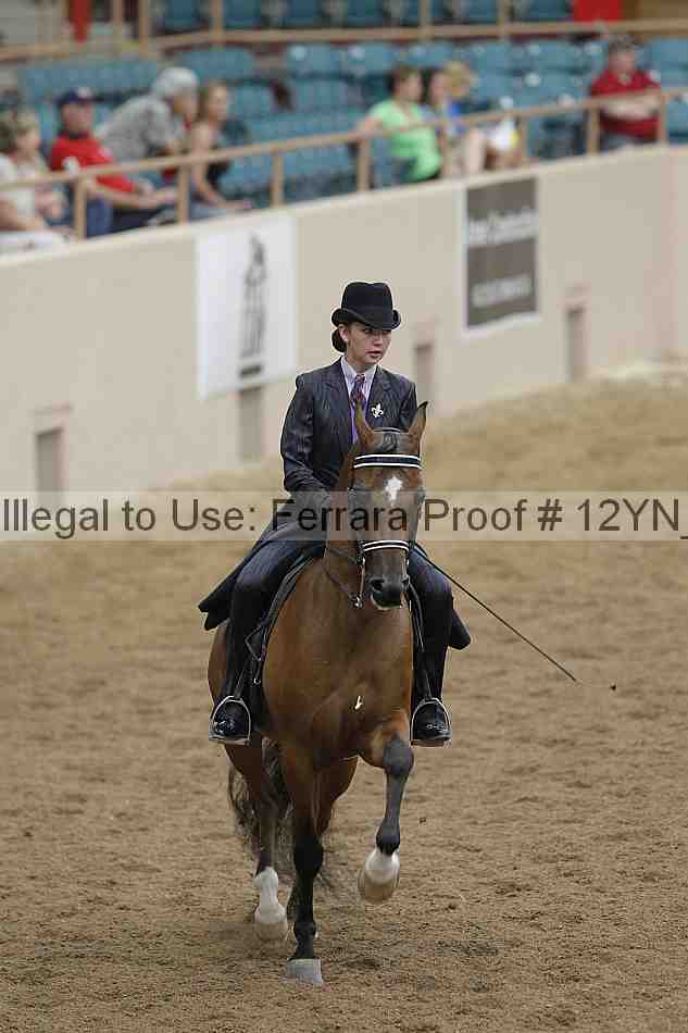 Proof Number 12yn_03882