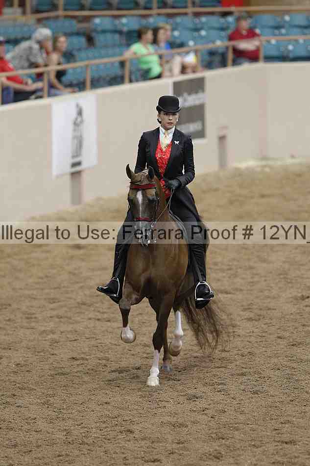 Proof Number 12yn_03884