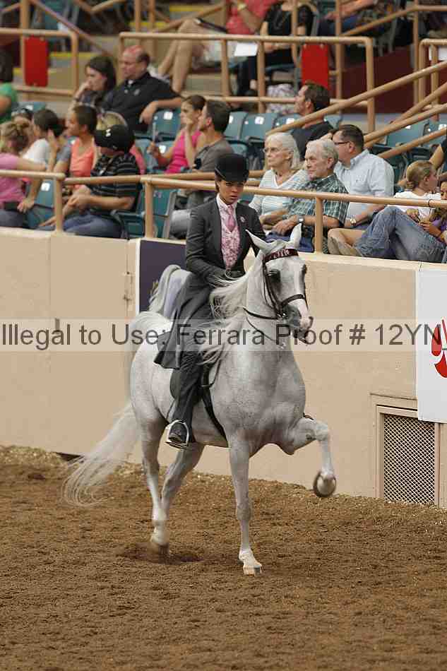 Proof Number 12yn_03908