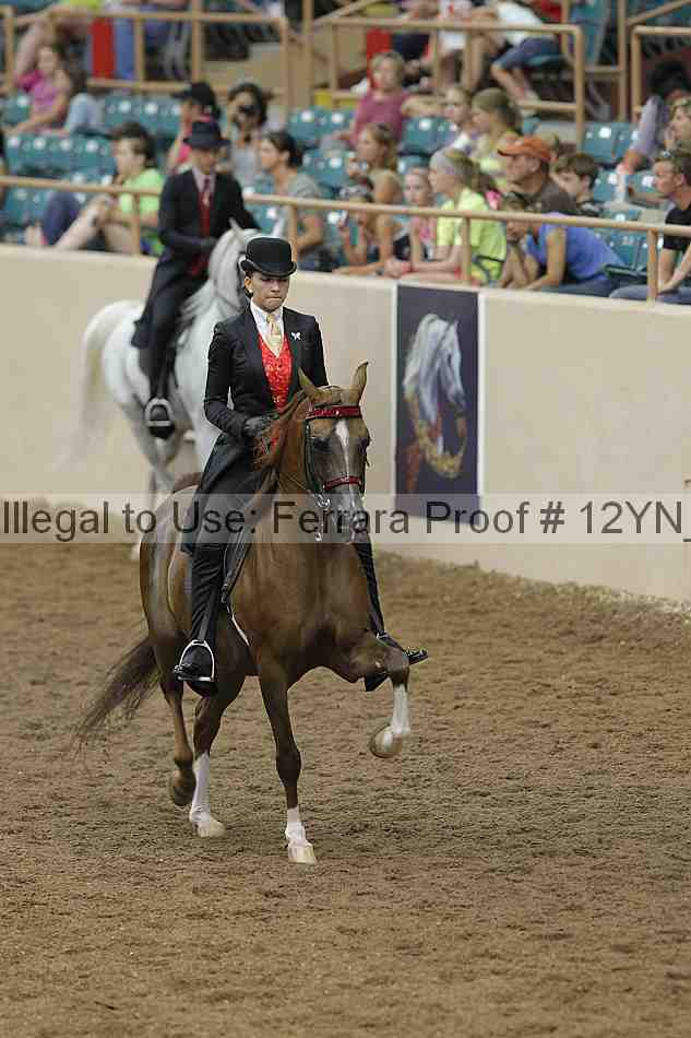 Proof Number 12yn_03909