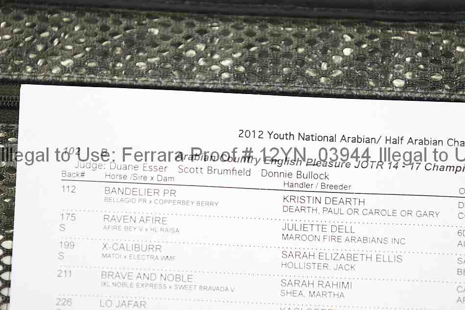Proof Number 12yn_03944
