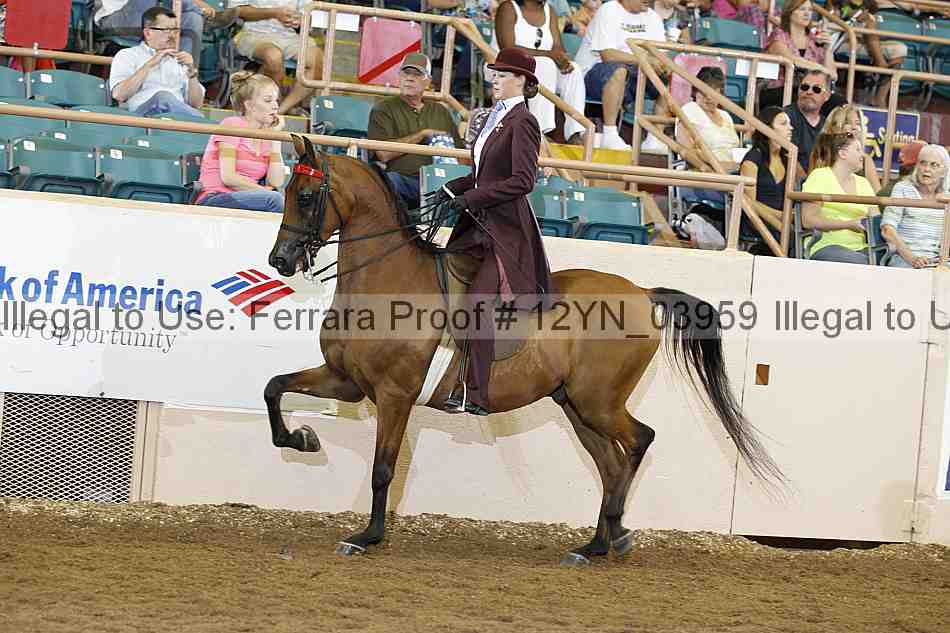 Proof Number 12yn_03959