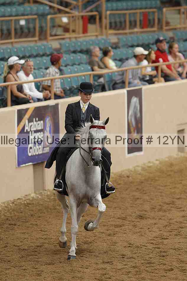 Proof Number 12yn_03967