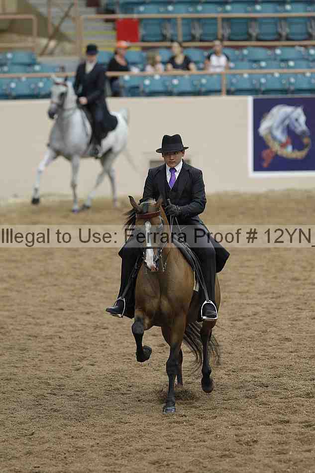 Proof Number 12yn_03973