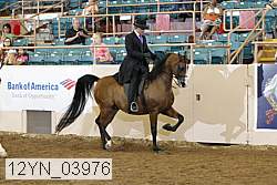 12yn_03976 thumbnail
