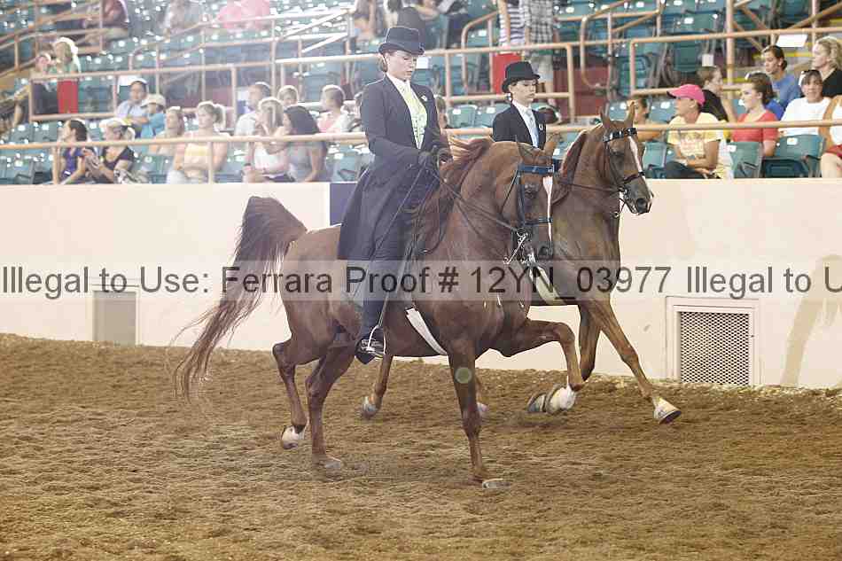 Proof Number 12yn_03977