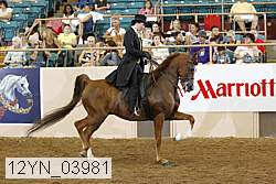 12yn_03981 thumbnail