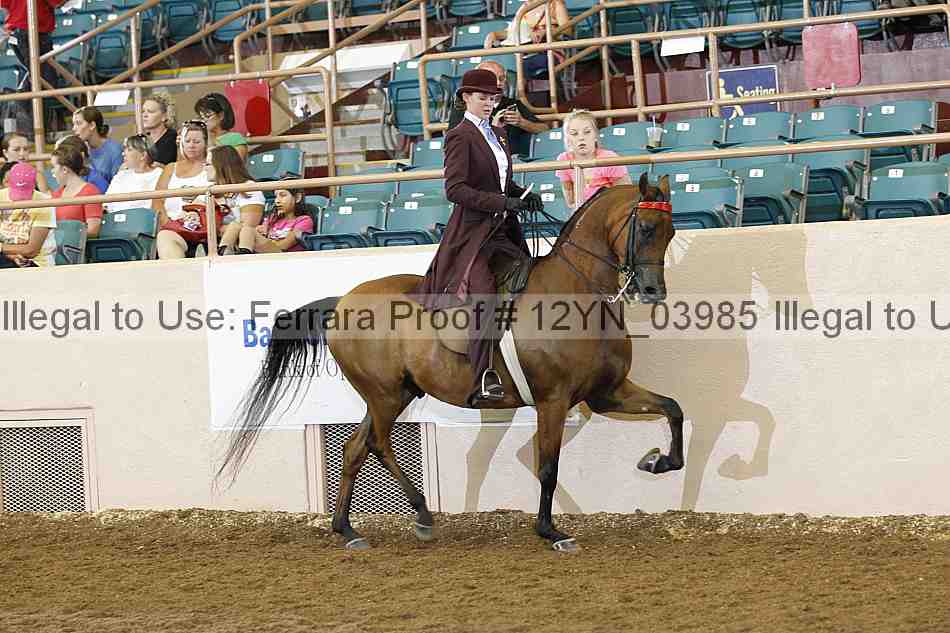 Proof Number 12yn_03985