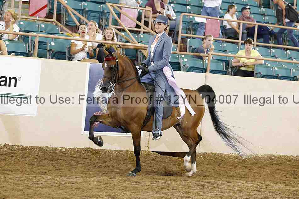 Proof Number 12yn_04007