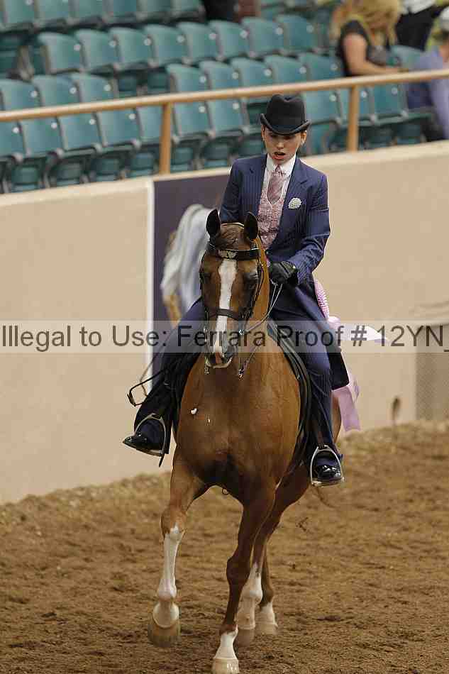 Proof Number 12yn_04021