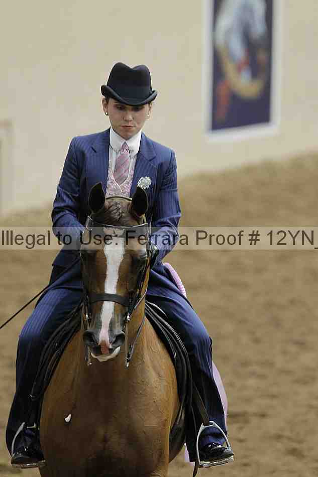 Proof Number 12yn_04023