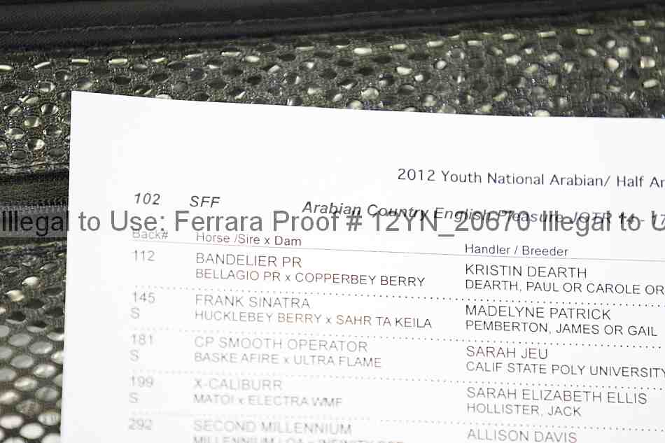 Proof Number 12yn_20670