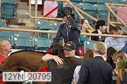 12yn_20795 thumbnail