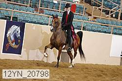 12yn_20798 thumbnail