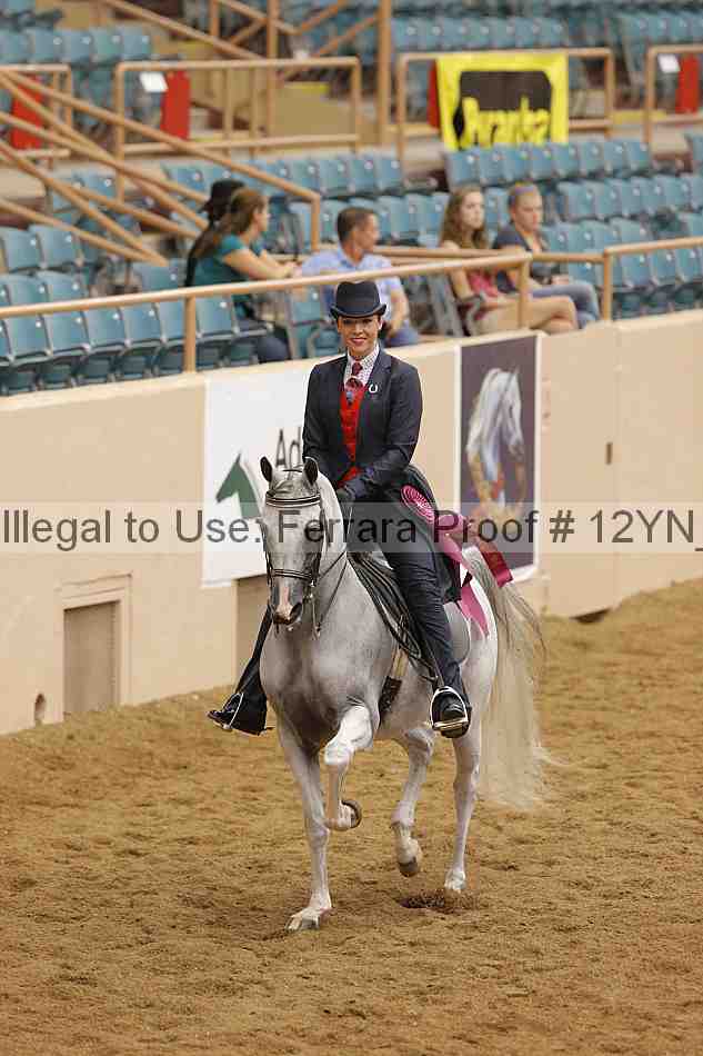 Proof Number 12yn_20814