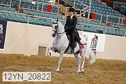 12yn_20822 thumbnail