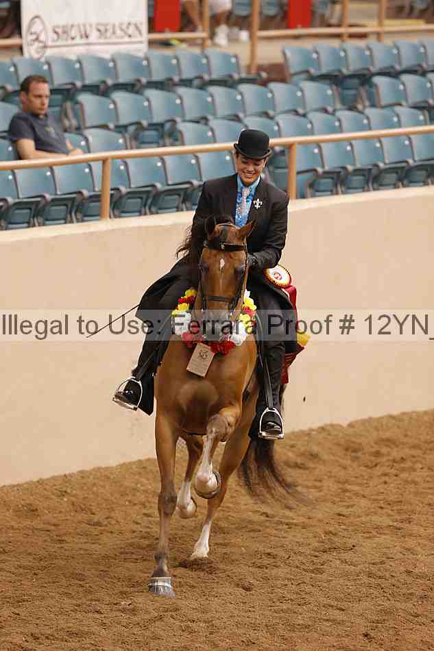 Proof Number 12yn_20855