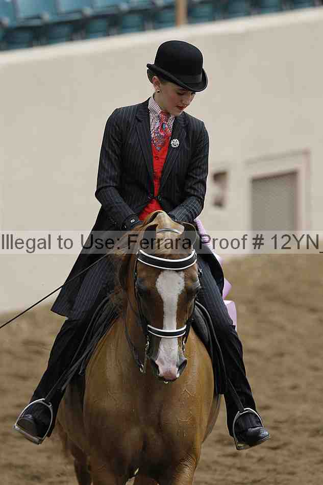 Proof Number 12yn_05458