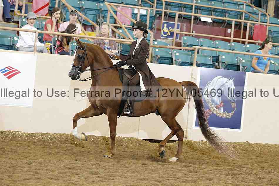 Proof Number 12yn_05469