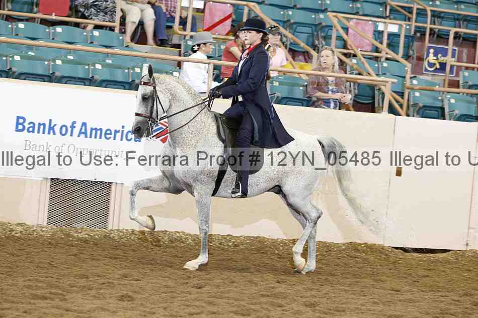 Proof Number 12yn_05485