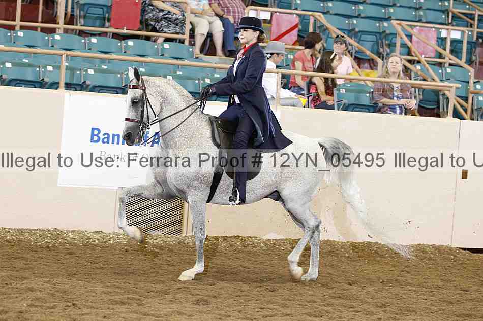 Proof Number 12yn_05495