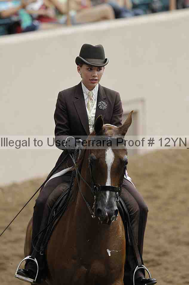 Proof Number 12yn_05529