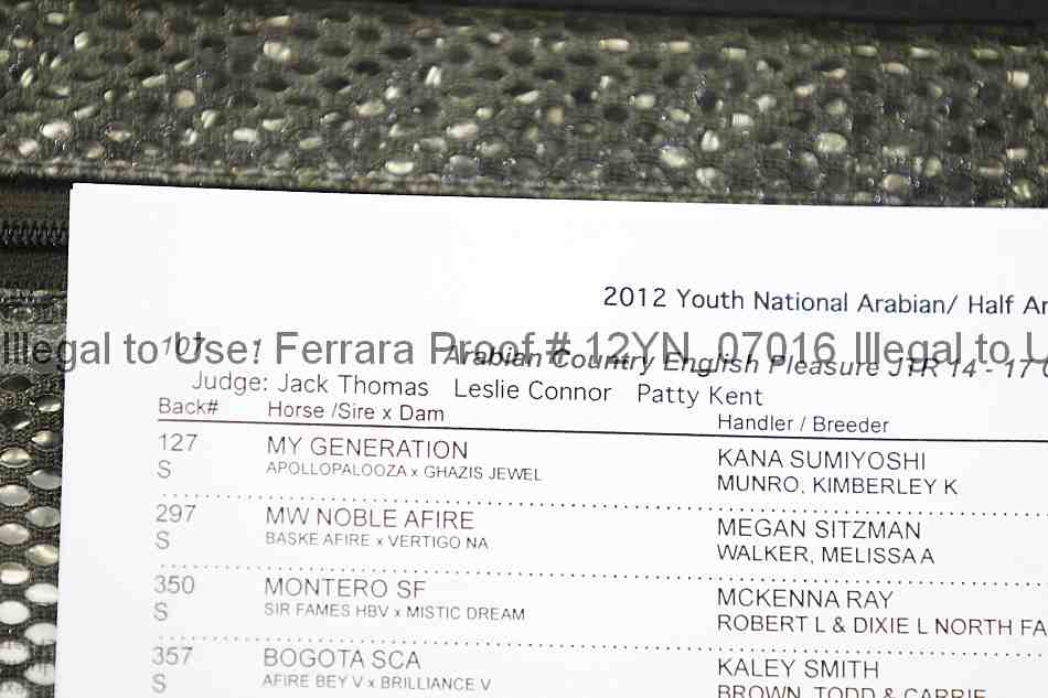 Proof Number 12yn_07016