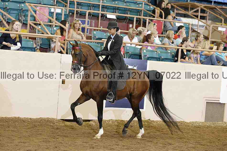 Proof Number 12yn_07022