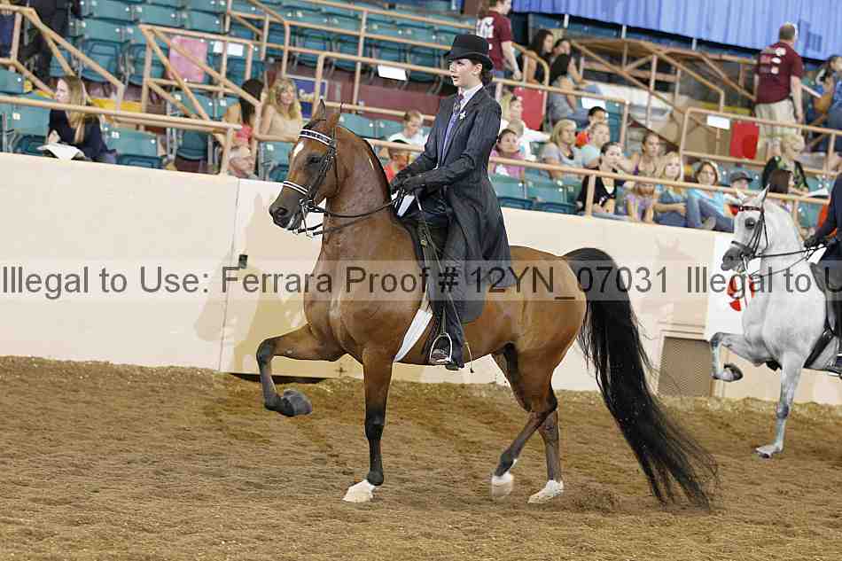 Proof Number 12yn_07031