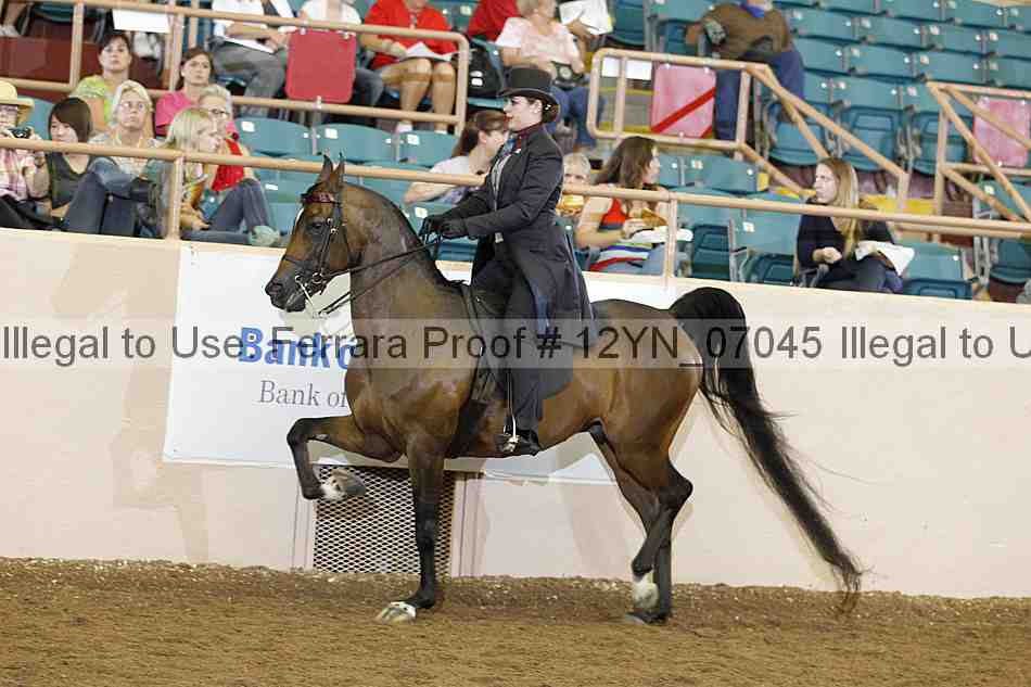Proof Number 12yn_07045