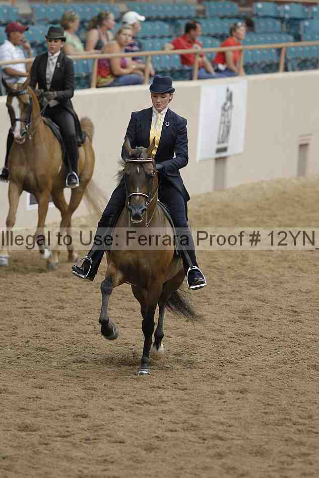 Proof Number 12yn_07056