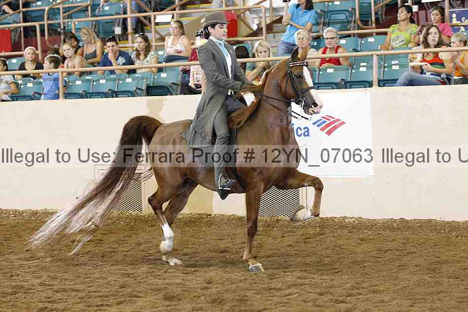 Proof Number 12yn_07063
