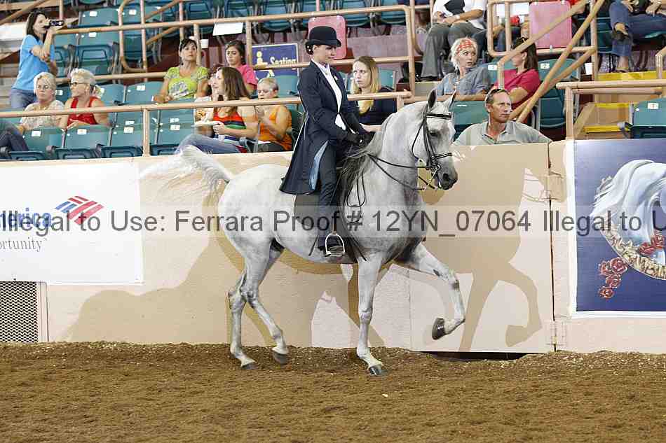 Proof Number 12yn_07064