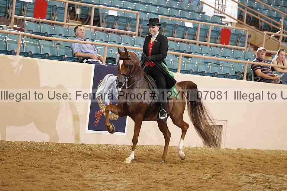 Proof Number 12yn_07081