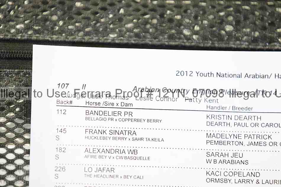 Proof Number 12yn_07098